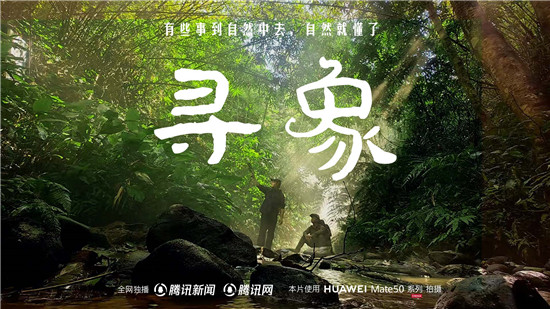 去雨林深處，聽大象長吟，自然紀(jì)錄片《尋象》正式上線！