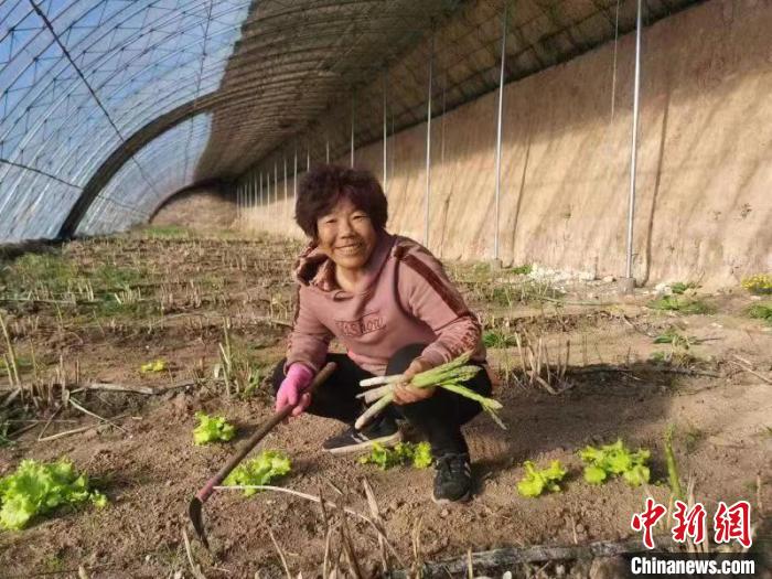 圖為內(nèi)蒙古赤峰市林西縣農(nóng)民在大棚里干活(資料圖)?！￡悤栽?攝