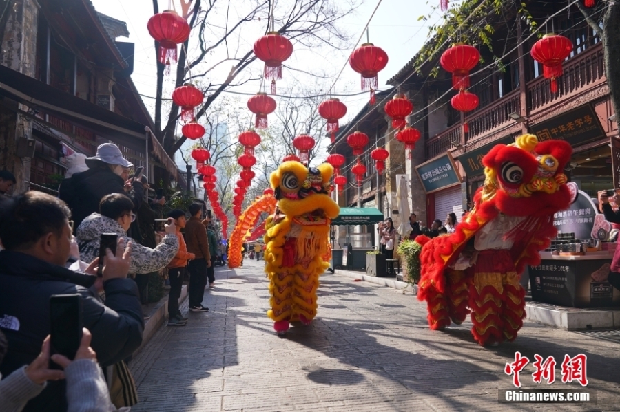 云南昆明：獅舞龍騰慶新春