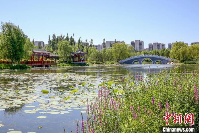 圖為舊宮城市森林公園濕地。　北京市園林綠化局供圖