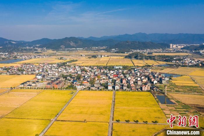 資料圖：杜黃新村一景?！↑S俊皓 供圖