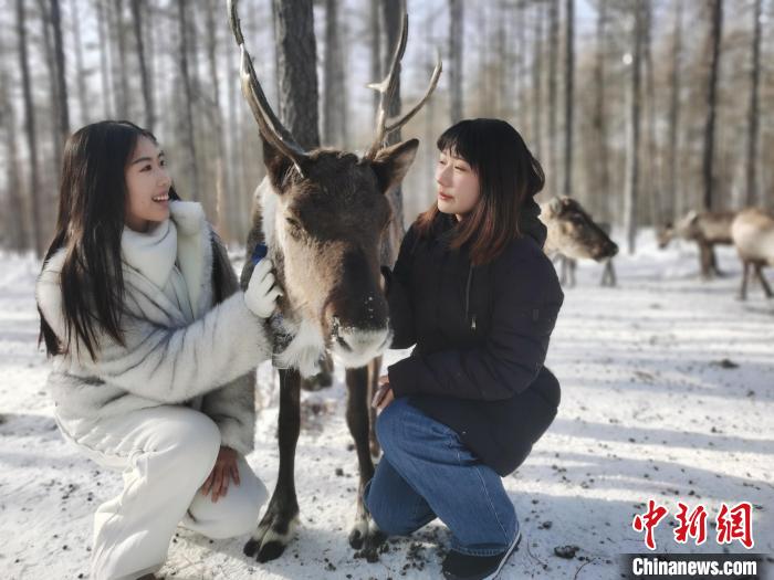 圖為與馴鹿合影的臺灣青年們?！±類燮?攝