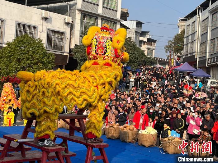 湘粵桂數(shù)萬瑤胞“趕鳥”話豐收?！〗揽h委宣傳部供圖