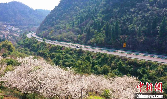 三峽專用公路穿越崇山峻嶺?！∶璐?攝