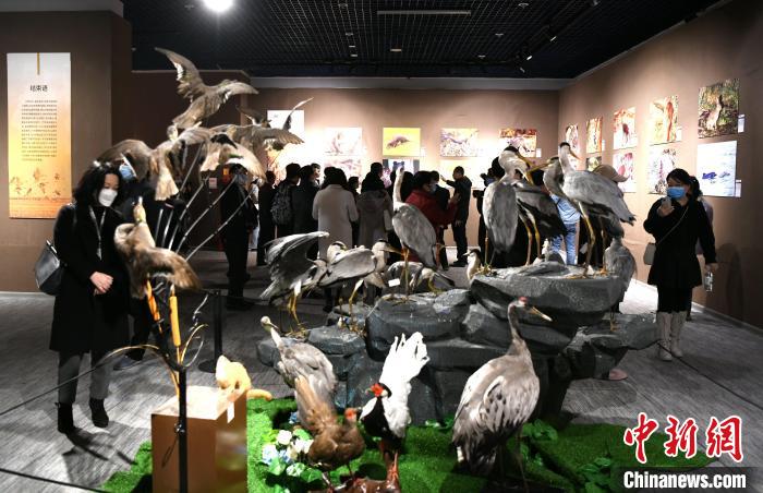 市民觀看靈動鮮活的動物標本?！⊥鯑|明 攝