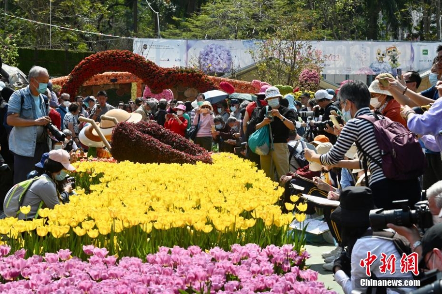 香港花卉展覽開(kāi)幕 吸引大批市民賞花