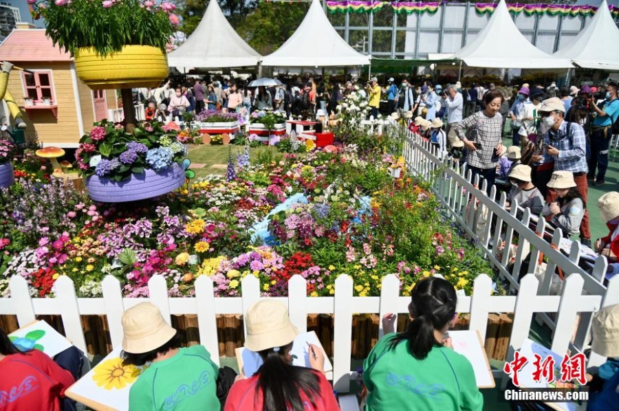 香港花卉展覽開幕 吸引大批市民賞花