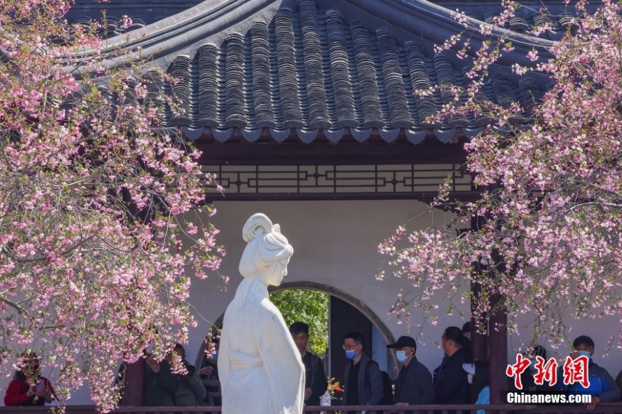 古都南京花紅柳綠 展“畫意江南”