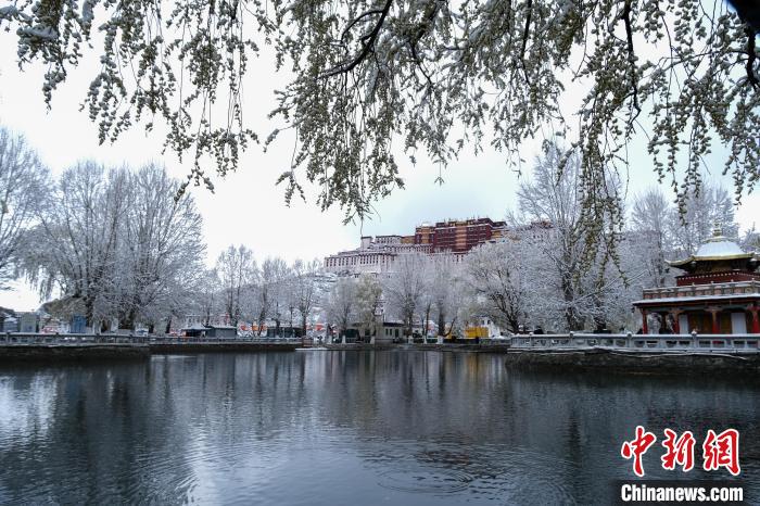 3月30日，春雪與布達(dá)拉宮?！〗w波 攝