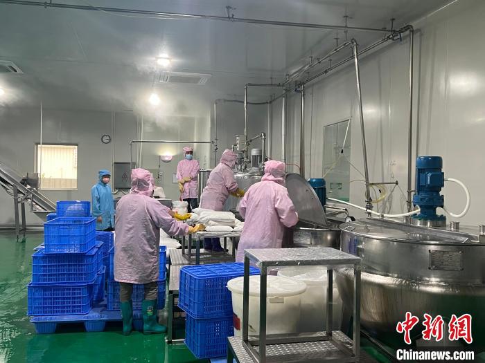 鮮友的生產(chǎn)車間內(nèi)，員工正在制作果汁產(chǎn)品。　路梅 攝