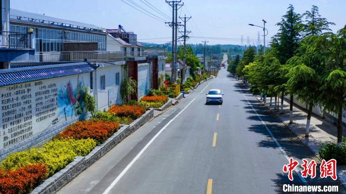 資料圖：圖為臨沂市蘭山區(qū)半程鎮(zhèn)美麗的戶戶通道路。(無人機(jī)照片) 孫磊 攝