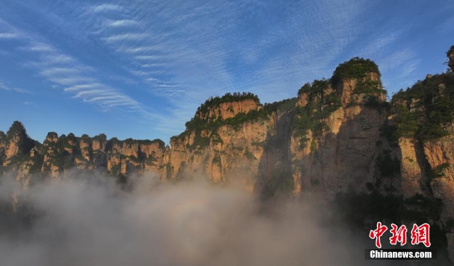 打卡張家界國家森林公園 連綿峰林間云卷云舒景如畫