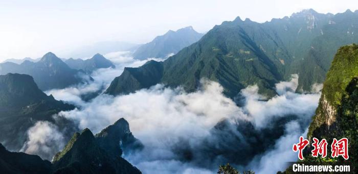 后河國家級(jí)自然保護(hù)區(qū)地處湖北武陵山區(qū)(資料圖) 后河保護(hù)區(qū)管理局 供圖