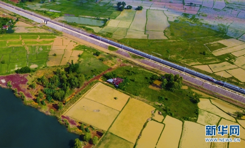 “瀾滄號(hào)”動(dòng)車組列車運(yùn)行在老撾境內(nèi)。新華網(wǎng)發(fā)（楊永全 攝）