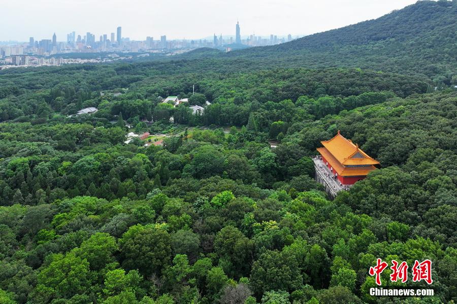 航拍世界文化遺產(chǎn)南京明孝陵 列入《世界遺產(chǎn)名錄》20周年