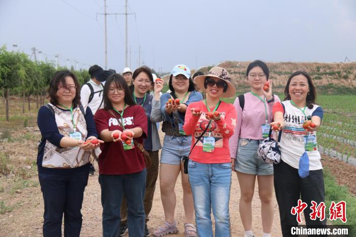 圖為臺(tái)胞體驗(yàn)大美內(nèi)蒙古?！⊥袐I供圖