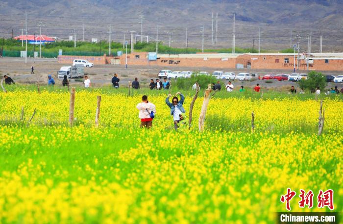 游客在油菜花海中拍照?！⊥锌诉d縣委宣傳部供圖