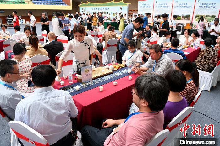 此次活動以“花樣漳州·烏龍茶香”為主題。圖為茶會現(xiàn)場參會嘉賓品茗聊天?！埥鸫?攝