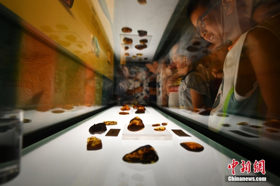 世界三大琥珀產(chǎn)區(qū)琥珀珍品亮相河北博物院