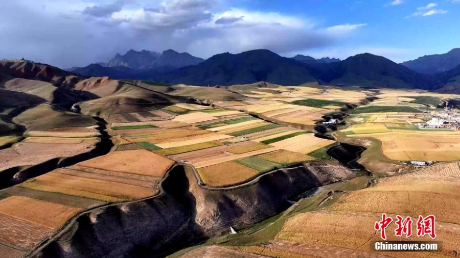 祁連山腹地秋景迷人 色彩斑斕如“大地油畫”