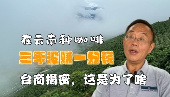 【滇西行】在云南種咖啡三年未賺一分錢？！臺(tái)商揭密個(gè)中原因