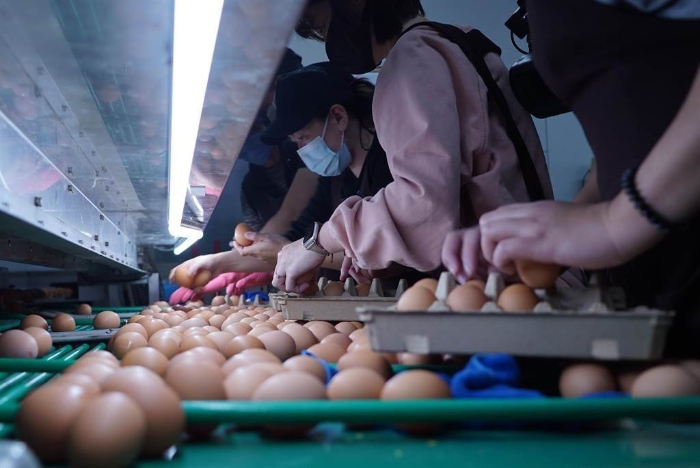 臺灣“中時新聞網(wǎng)”資料圖。