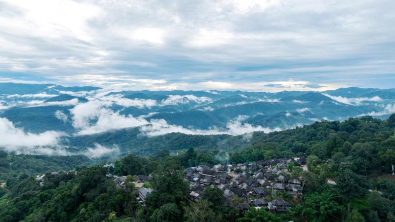 被山林與茶園環(huán)繞的景邁山翁基村一景（無人機(jī)照片，9月17日攝）