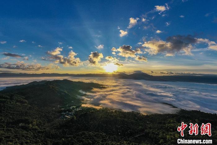 景邁山云海。 邵鴻雁攝