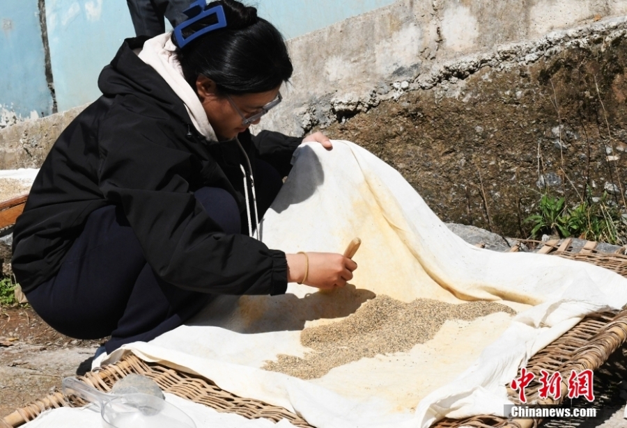 探訪重慶巫山龍骨坡遺址考古發(fā)掘現(xiàn)場