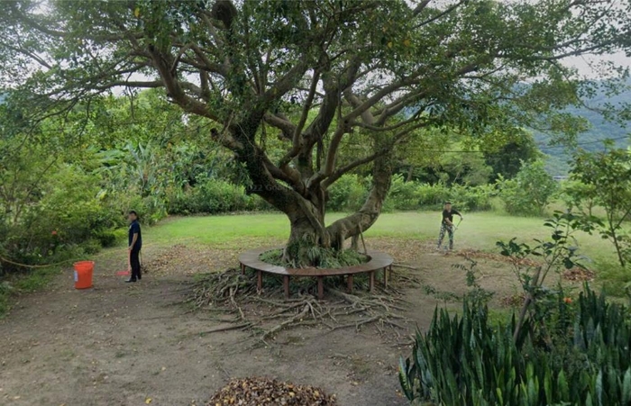 賴清德萬(wàn)里違建老宅附近花園“賴皮花園”