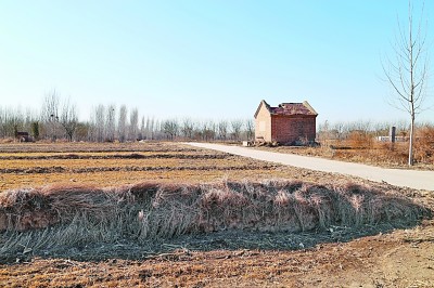 永濟渠衡水段發(fā)現(xiàn)古代運河型城市遺址 唐宋武城具有重要貿易和軍事意義