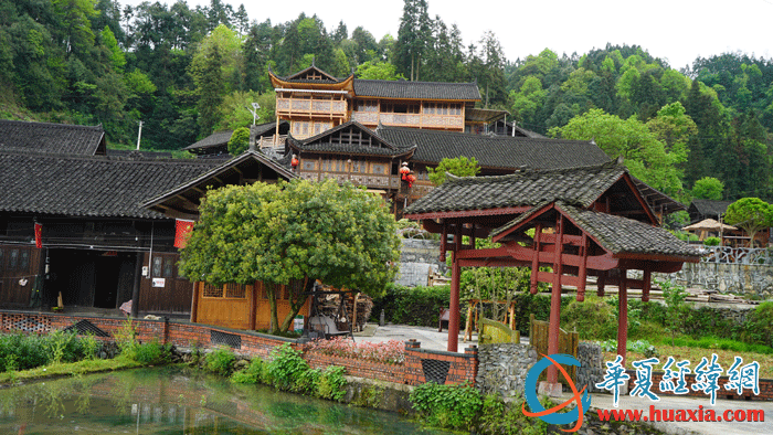 國茶村村景。（攝影：虞鷹）