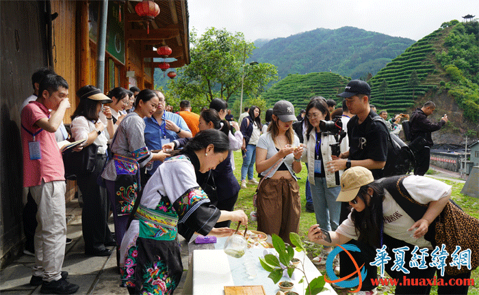 馬燕馬少梅姐妹向兩岸媒體人介紹黃金茶。（攝影：虞鷹）