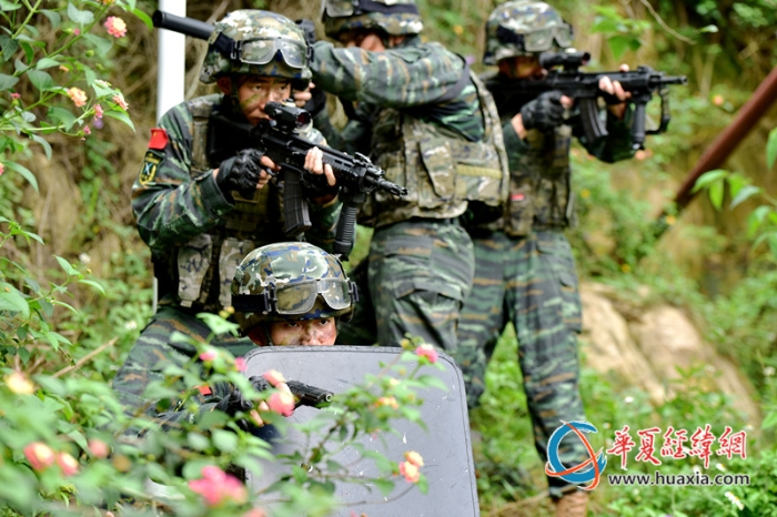 圖十：特戰(zhàn)隊員深入林地展開搜索。王松青 攝_副本