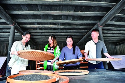 裊裊茶香飄兩岸——海峽兩岸媒體人走進(jìn)湖南探尋茶鄉(xiāng)