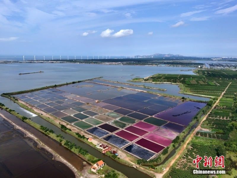 8月7日，山東省榮成市港西鎮(zhèn)朝陽港的一處鹽田在藍天白云的映襯下呈現(xiàn)出色彩斑斕、絢麗多彩的獨特景觀，成為海邊的一道靚麗風景。