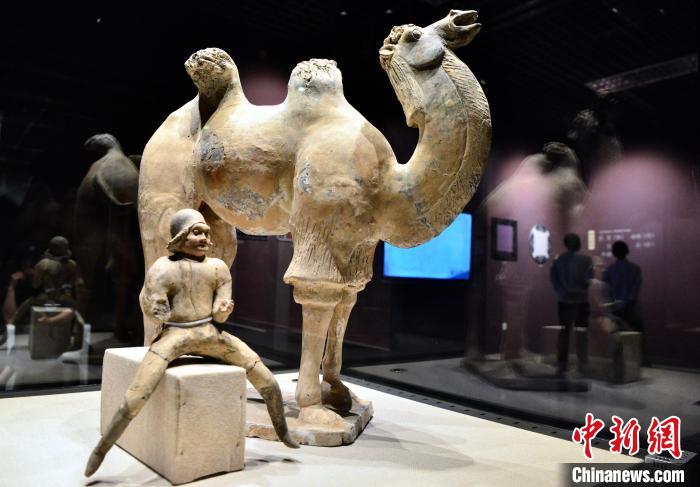 福州：“大唐金鄉(xiāng)縣主展”讓民眾領略大唐風華