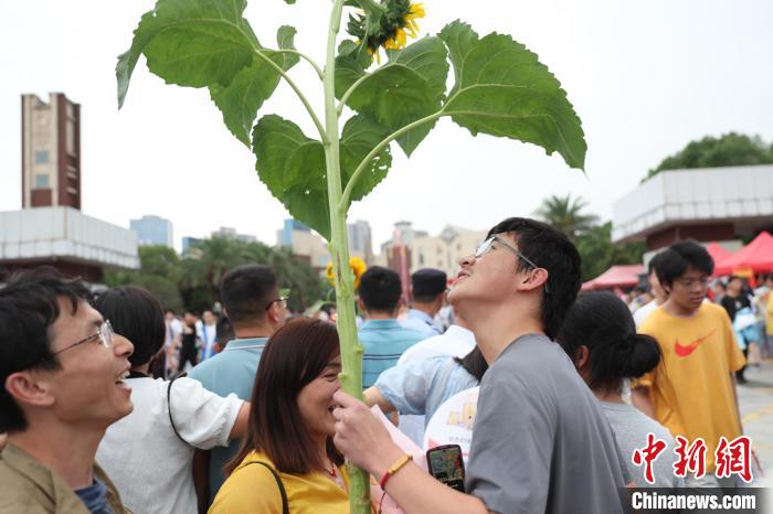 全國多地高考落下帷幕家長“花式”迎接考生